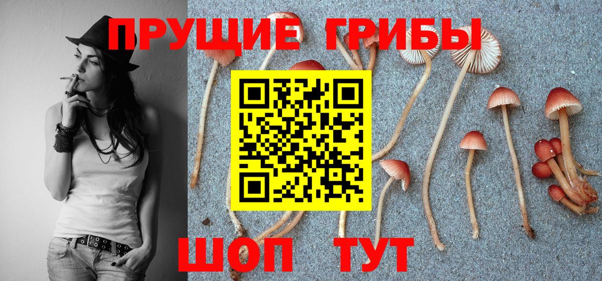 Галлюциногенные грибы мухоморы Саров