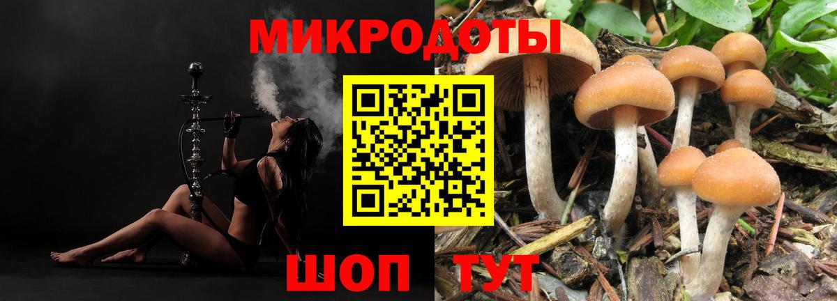 закладка  Галлюциногенные грибы Psilocybe  Вход с VPN  Саров 